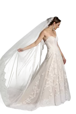 Imagen PNG para descargar